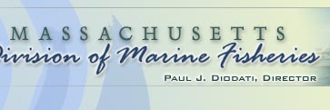 Division of Marine Fisheries